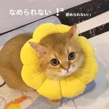 調整可能なブルーとホワイトのペット用エリザベスカラー【猫・犬用・柔らかい素材・舐め防止】