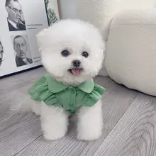 春夏用 ペット用ストライプカーディガン【リボン付きスカート・ティディベア・薄手・猫犬用】