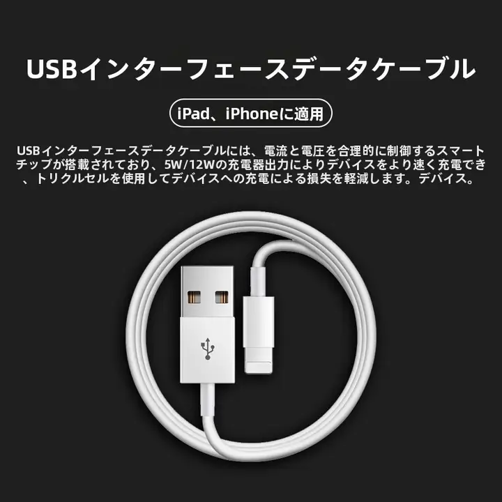 Apple対応 高速充電データケーブル【2m・USBタイプ・iPhone用】