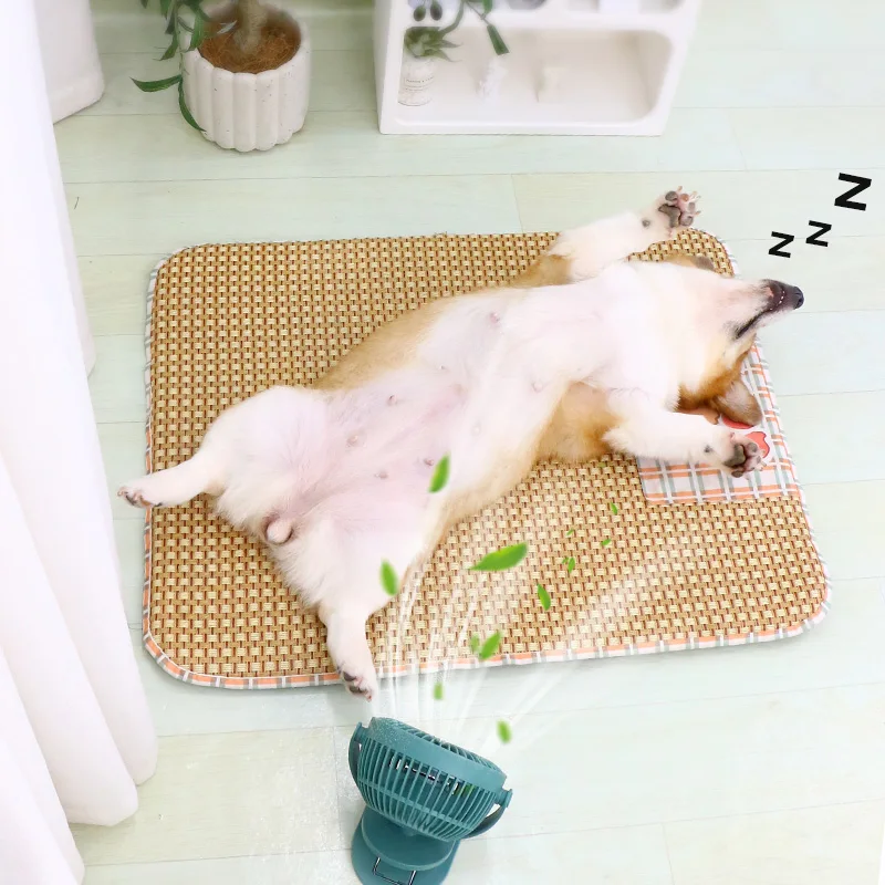 犬の暑さ対策で迷うなら、これひとつで解決できる？