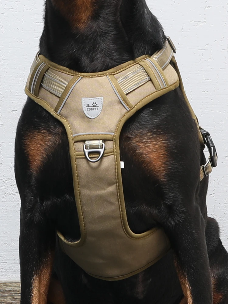 犬のお散歩グッズをコスパ良く揃える方法 - 胸部ハーネスのサイズ・デザイン・耐久性