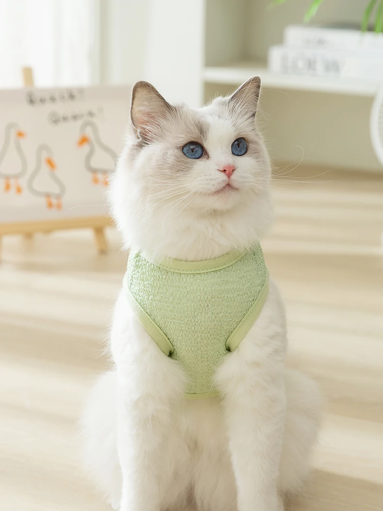 引き犬猫用ベスト：夏用薄手デザインで毛防止と快適な着用を実現