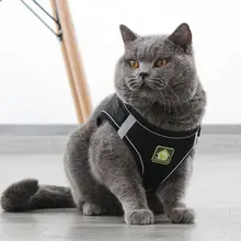 猫の脱走防止 リーシュ