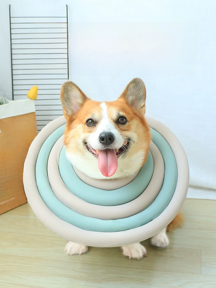 犬用エリザベスカラー：かみ防止・舐め防止に最適な軽量設計の実用性解析