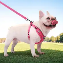犬用反射リード【ミディアム＆スモール犬用・ハーネス付き・耐脱出設計】