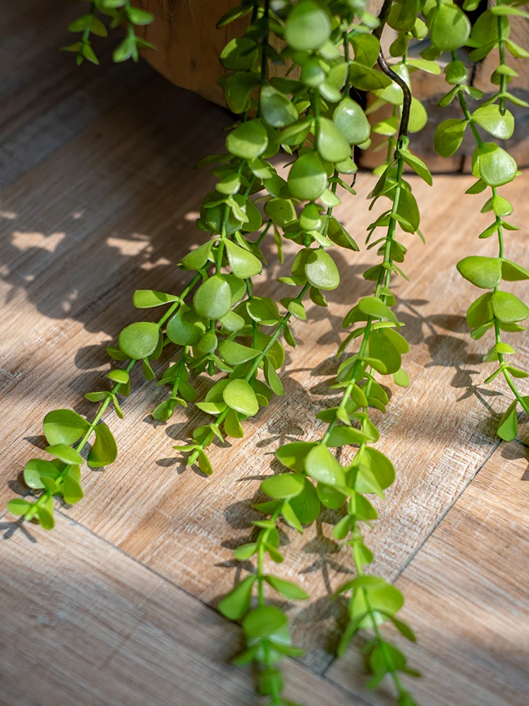 フェイクグリーンの吊り下げ植物を選ぶべき理由は？リアルと比べてどんな違いがあるの？