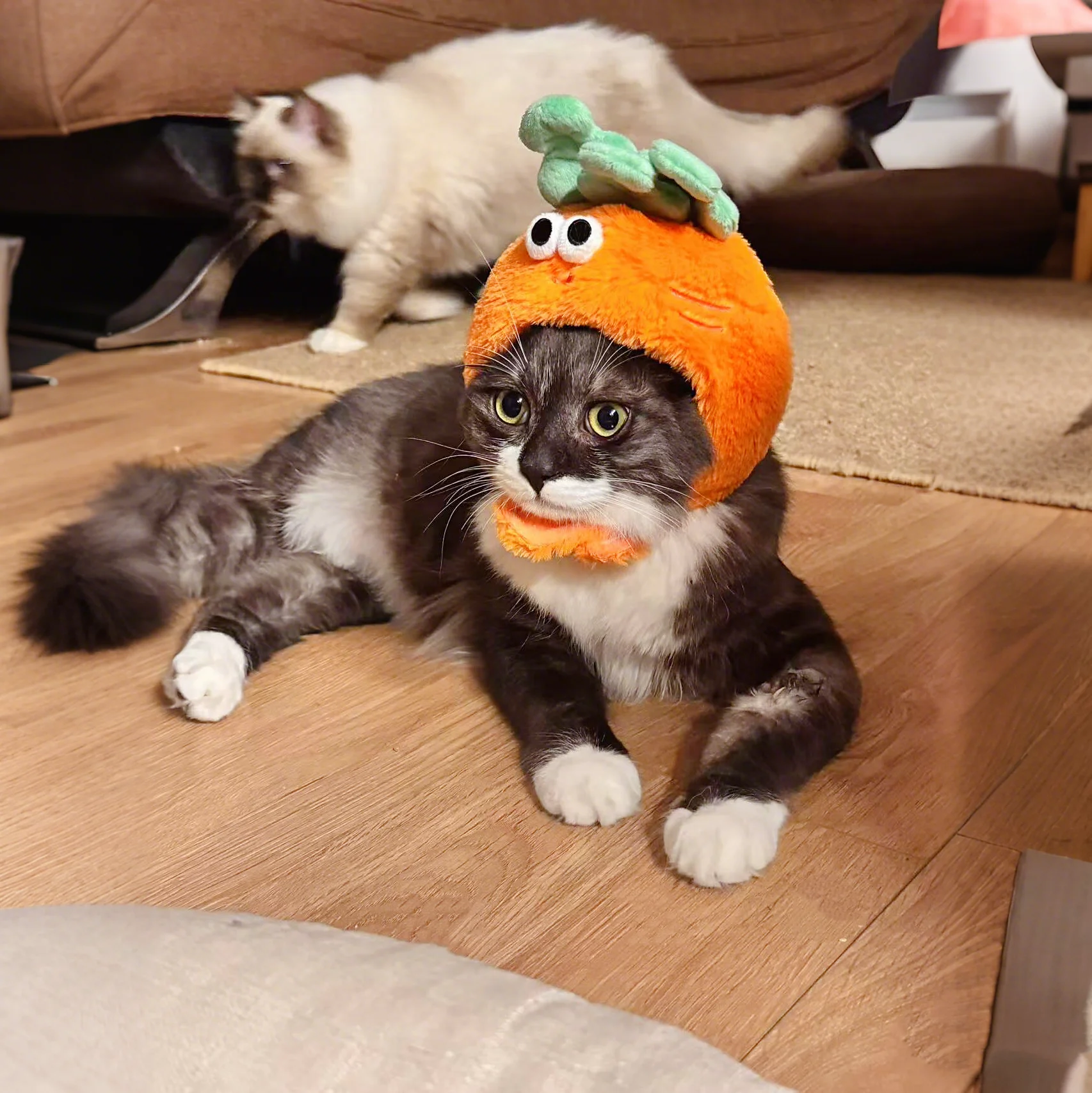 かわいいキャロットデザインの猫帽子：写真撮影向けの変装アクセサリー