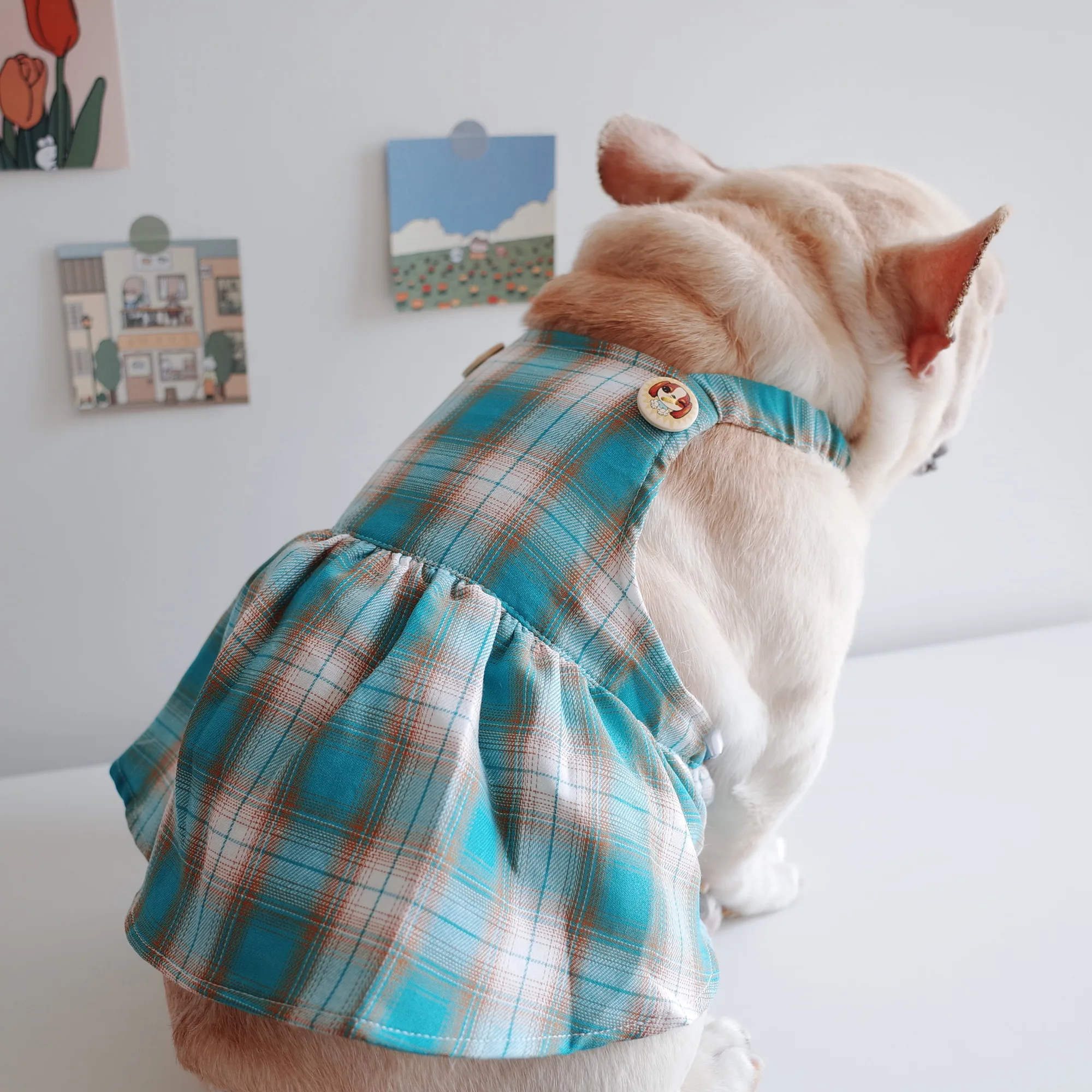 ワンちゃんの洋服 おすすめ5選：季節ごとの着用シーンと選び方の実践ノウハウ