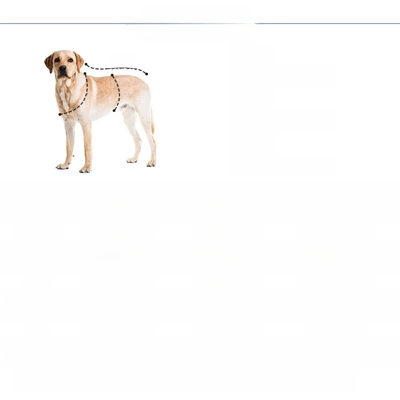 犬のお散歩グッズをコスパ良く揃える方法 - 夏用通気性バスト付きハーネスリードの仕組みと特性