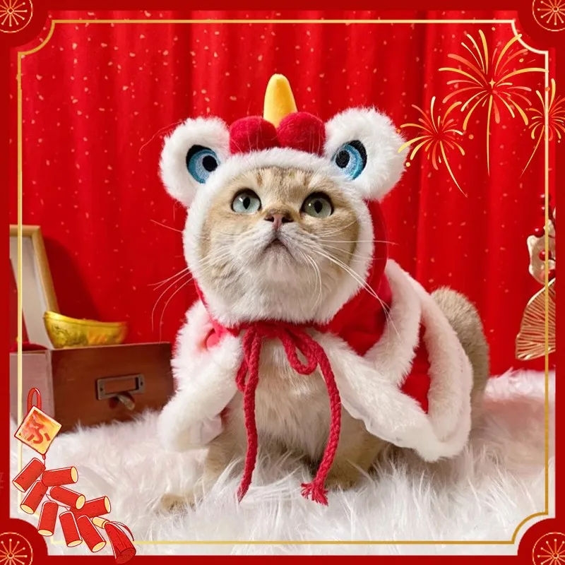 冬の寒さに負けない猫の「おしゃれ」は、この1着で決まる？