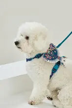 猫用ハーネス付きリード【防脱走・外出用・小型犬対応】