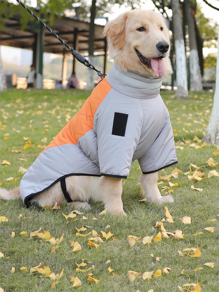 犬のお散歩グッズをコスパ良く揃える方法｜反射素材で安全に散歩できるフリースコートの選び方