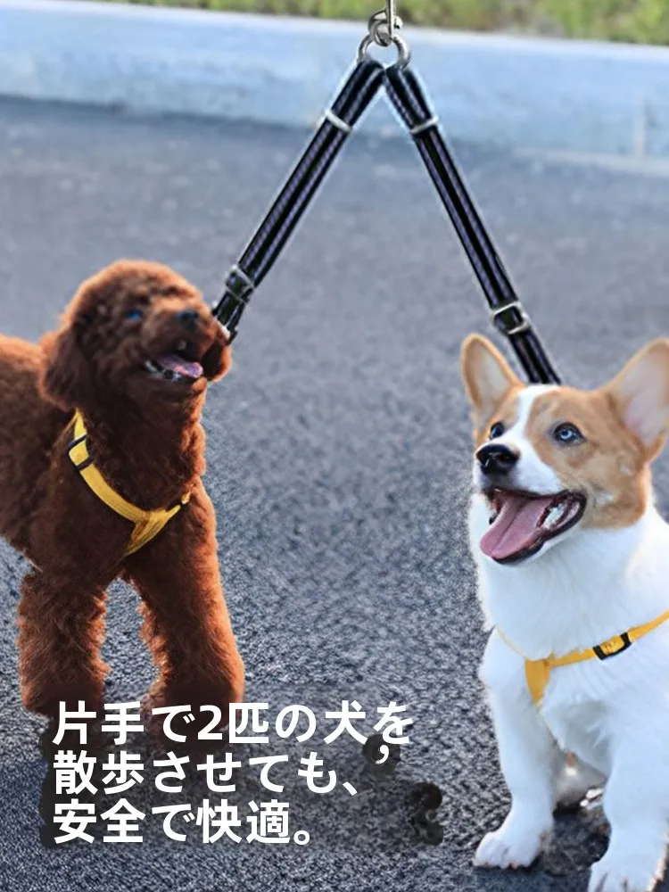 犬のお散歩グッズをコスパ良く揃える方法｜二頭引きリードの実測ガイド