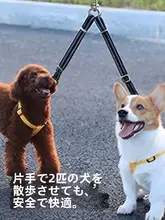 小型犬用二頭引きリード【ペット散歩用・穴あけ不要】（セットアップ対応）