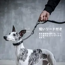 ZooLand 犬用首輪とリードセット【防爆・高弾力・大中小型犬対応】