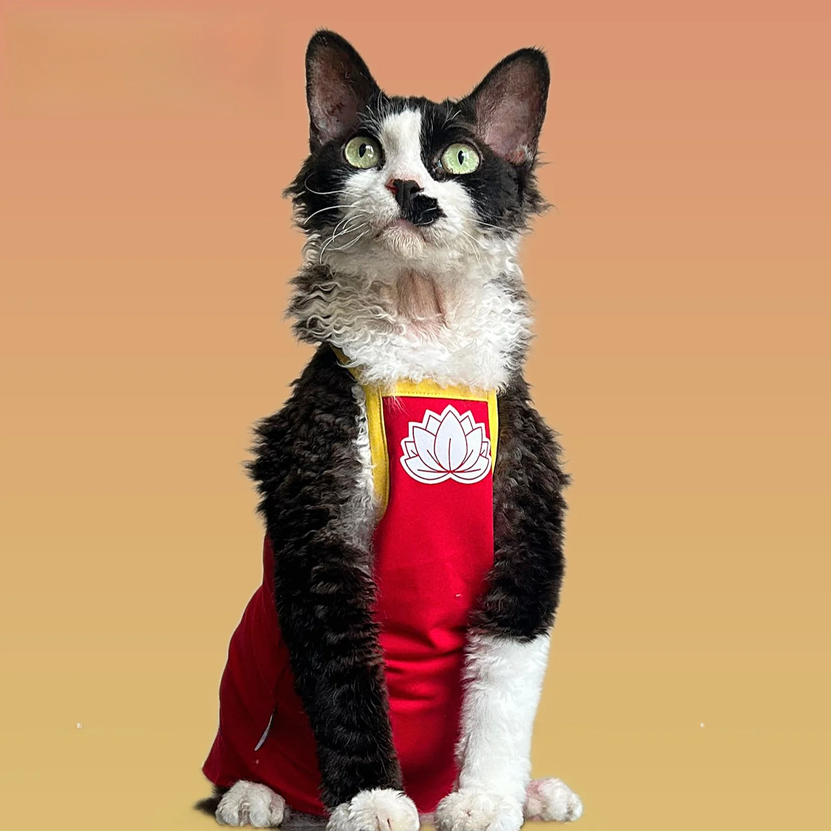 スフィンクス猫用夏秋用コットンキャミソール：ペット猫飼いやすいための軽量通気設計
