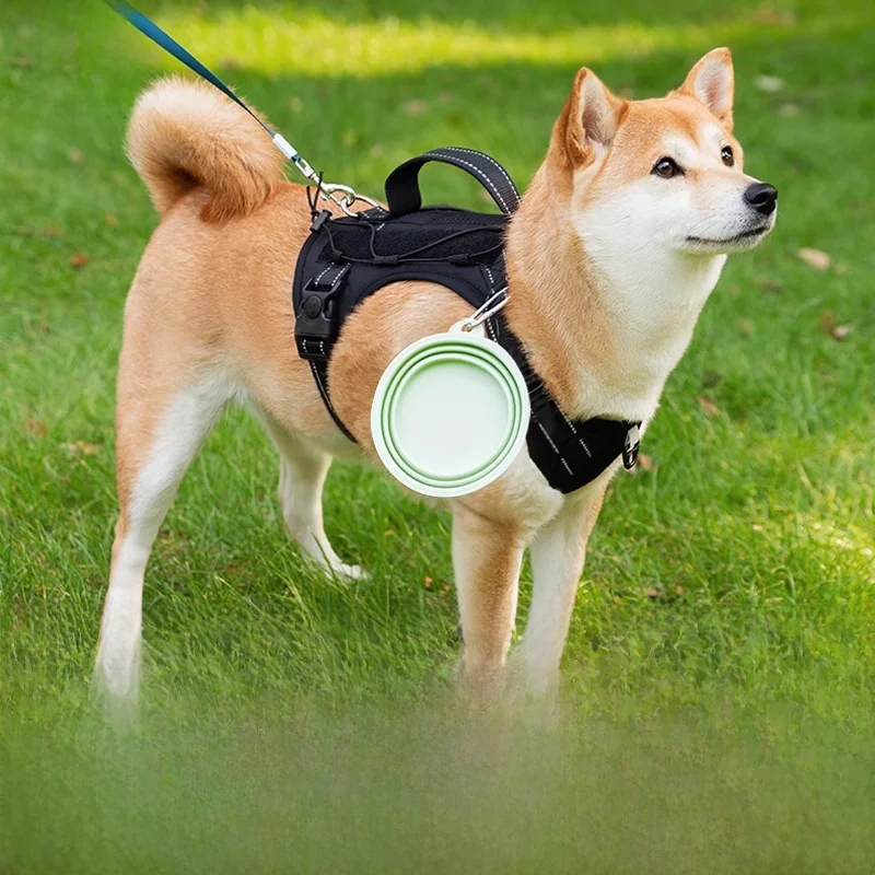 折りたたみ式ペット用ボウル【携帯便利・犬猫兼用・アウトドア用・水と食事用】