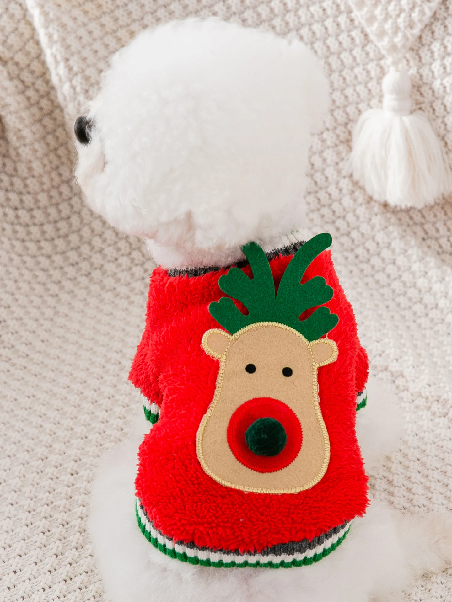 シュナウザーの冬用コート｜hipidog ビション・テディ・シュナウザー向けクリスマスプレゼント