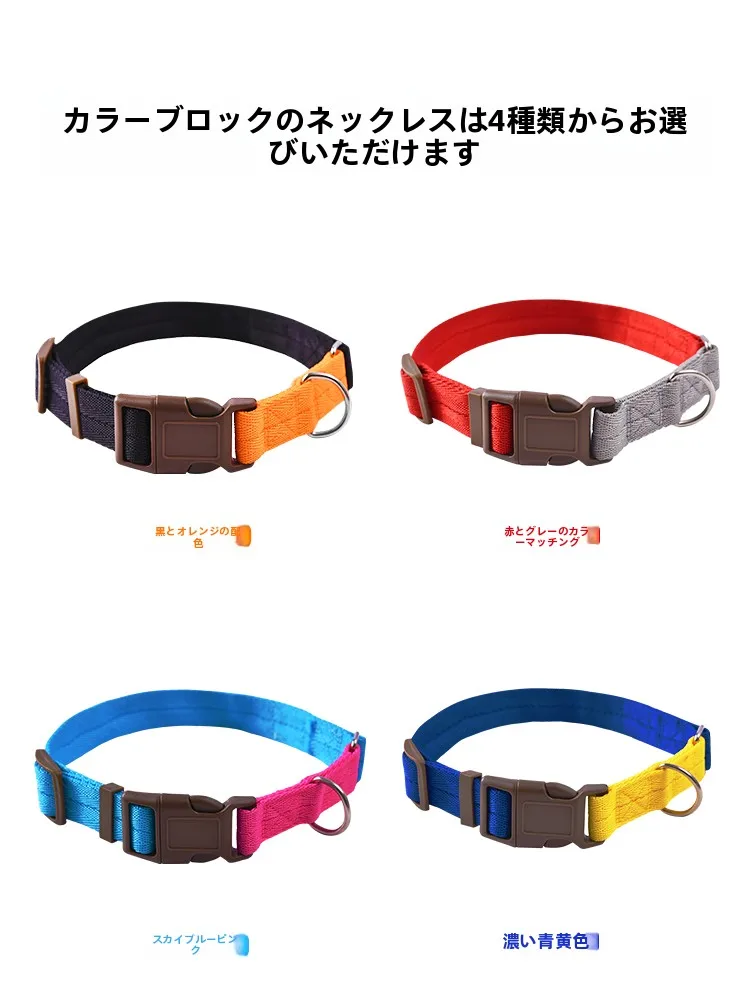 犬のお散歩グッズをコスパ良く揃える方法　完全ガイド
