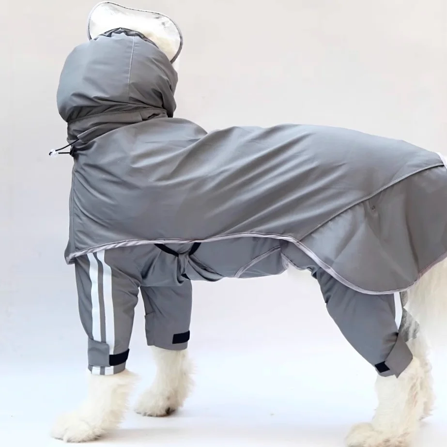 犬のお散歩グッズをコスパ良く揃える方法｜体全体保護の実測ガイド