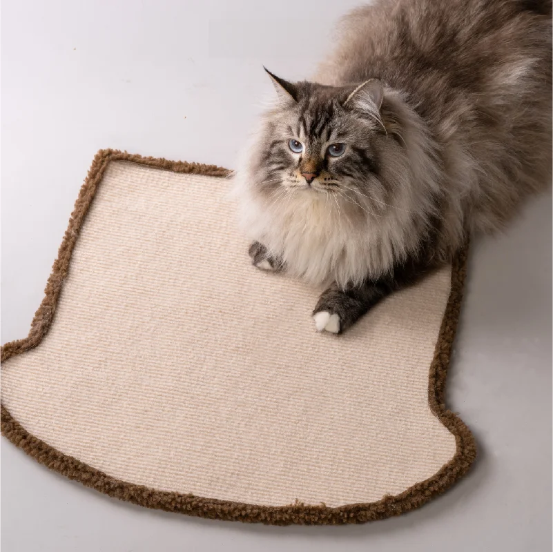 猫用爪研ぎボード【 極上の柔らかさ・遊び道具】：初心者向けの安全で長持ちする遊びスペースとは