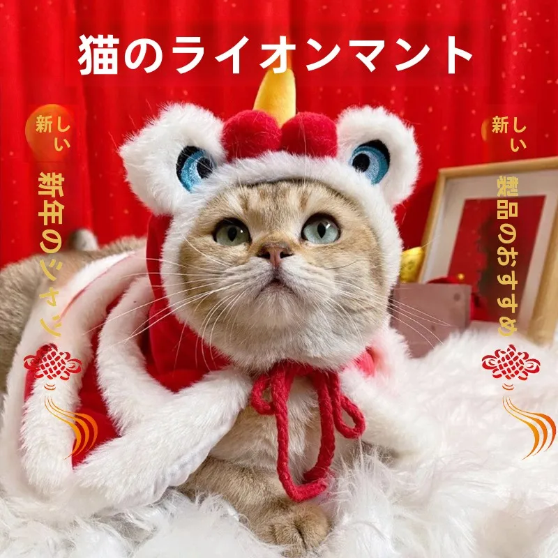 冬の寒さに負けない猫の「おしゃれ」は、この1着で決まる？