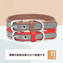 反射素材のペット用首輪とリード【鈴付き・小型犬用】