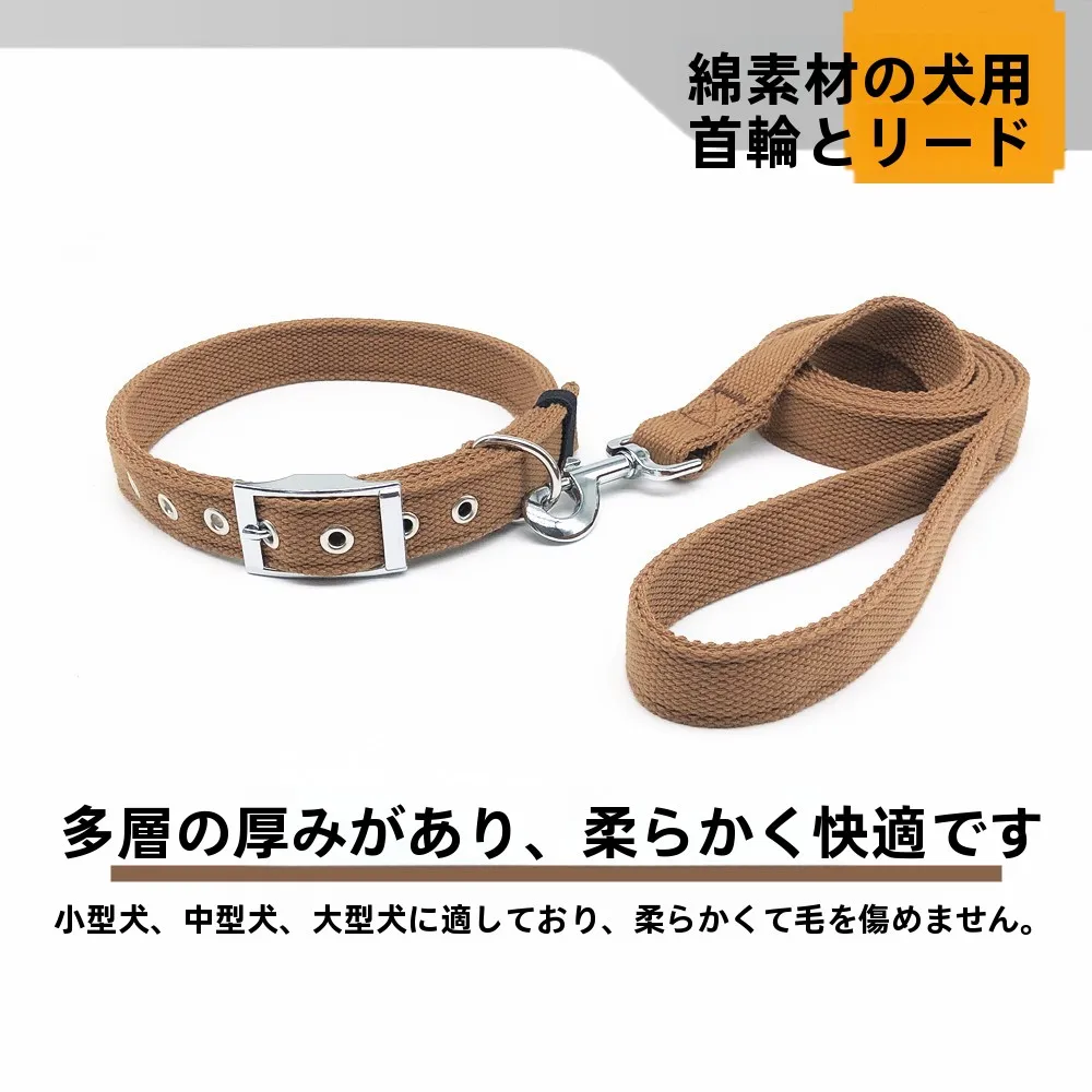犬のお散歩グッズをコスパ良く揃える方法　完全ガイド