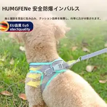 犬用ハーネス型リード【中小型犬用・散歩・幼犬対応】