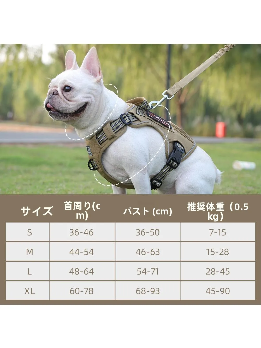 犬のお散歩グッズをコスパ良く揃える方法 - タクティカルハーネスのサイズとリード機能