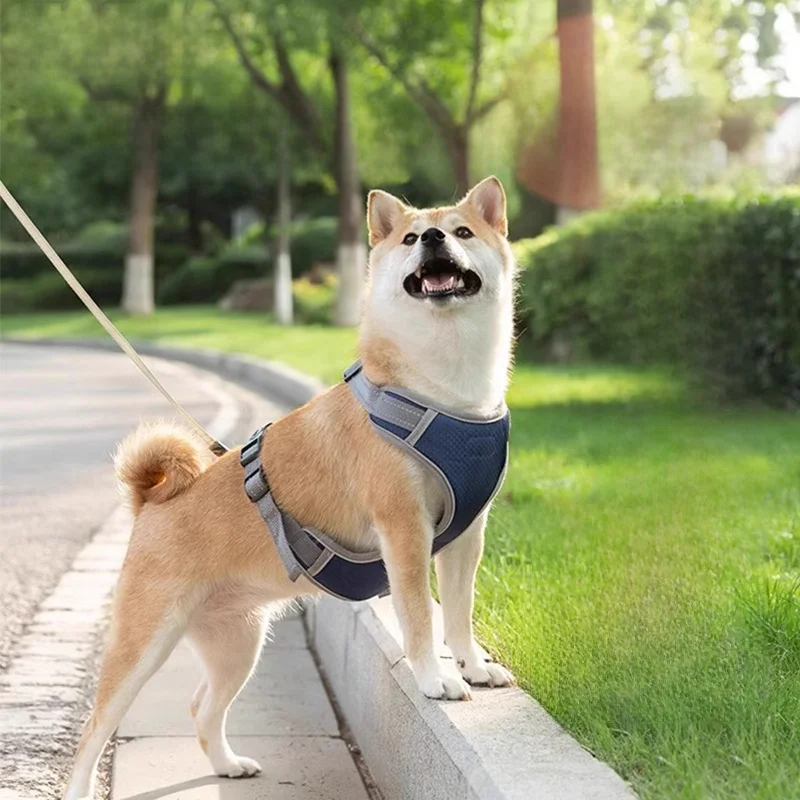 犬用胴着タイプのリード：小型・中型犬対応で引っ張り防止を実現