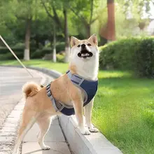 犬用胴着タイプのリード【引っ張り防止・携帯型・小型犬・中型犬対応】