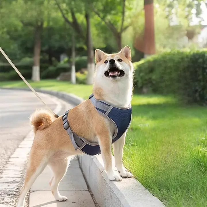 犬用胴着タイプのリード【引っ張り防止・携帯型・小型犬・中型犬対応】