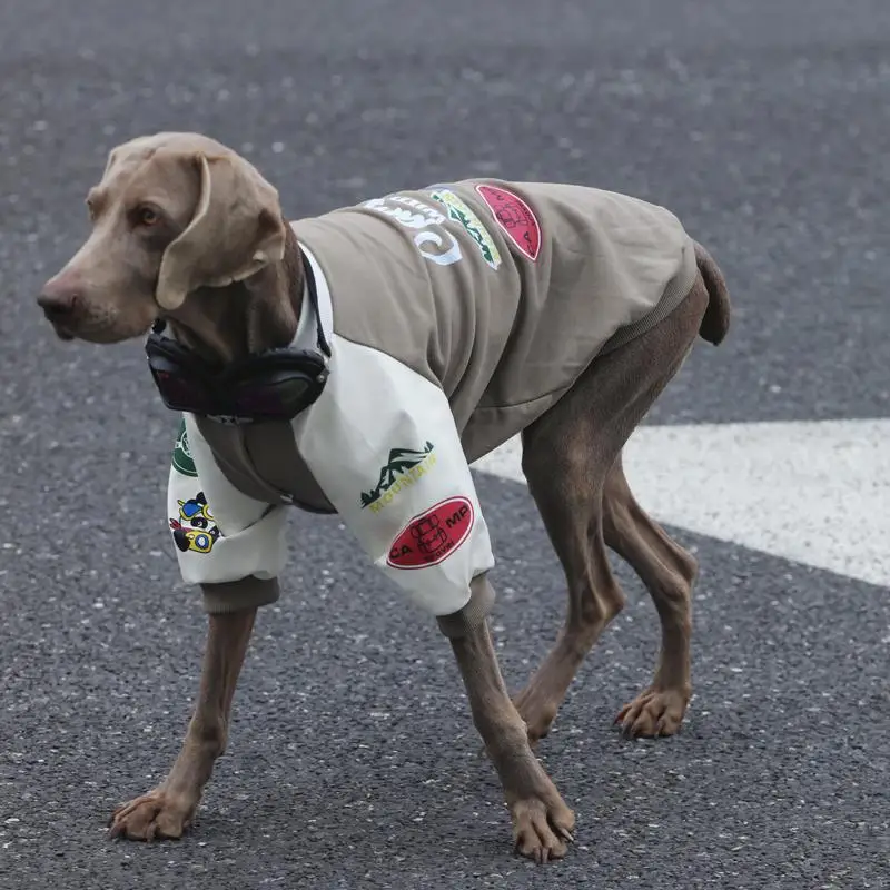 中大型犬用フリース入りボンバージャケット：秋冬の保温性能とベースボールスタイルの実用性
