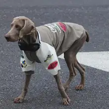 中大型犬用 フリース入り秋冬用ボンバージャケット【保温・ベースボールスタイル・ボーダー柄】