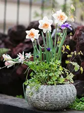 植木鉢 テラコッタ 手作り ヴィンテージ 通気性 観葉植物 多肉植物 生け花 インテリア