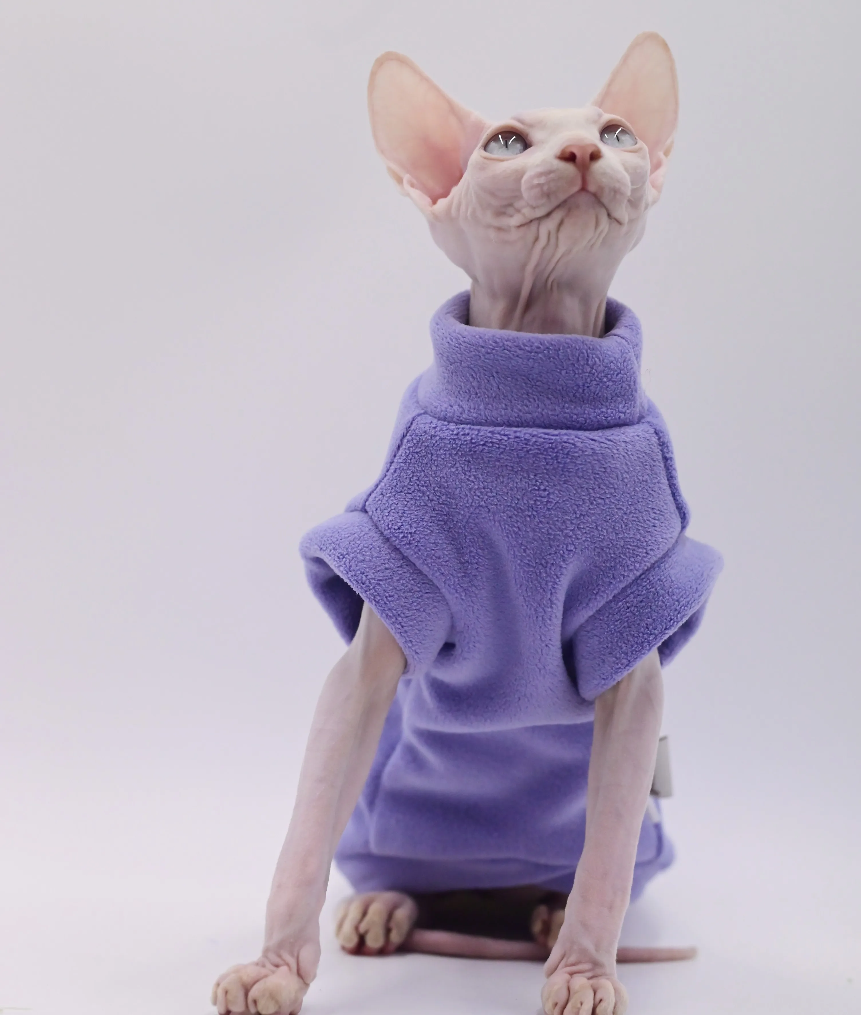 猫飼いが買ってよかったもの・悪かったもの正直に言う｜スフィンクス用厚手フリース猫服の実測ガイド