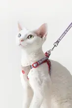 猫用ハーネス【外出時の脱走防止・安心設計・快適フィット】