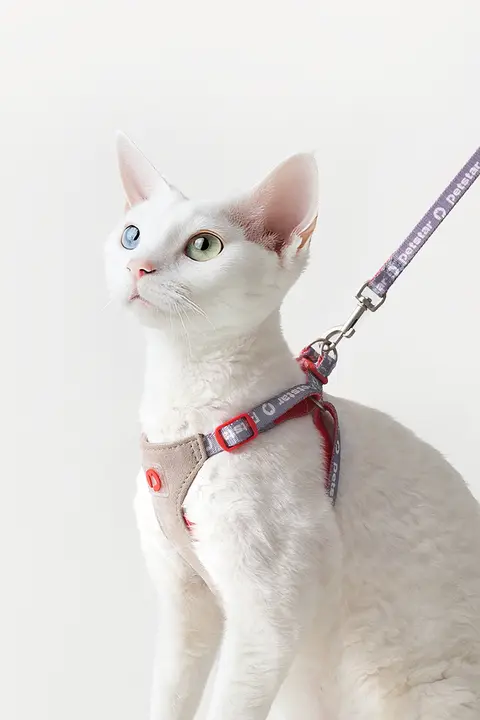 猫用ハーネス【外出時の脱走防止・安心設計・快適フィット】