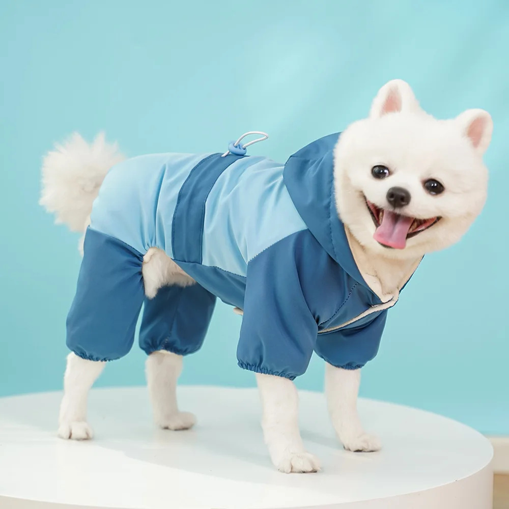 犬のお散歩グッズをコスパ良く揃える方法｜小型犬向け防寒コートの選び方と実際の使い方