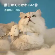 調整可能なハーネス型ペット用猫用リード【脱走防止・お出かけ用】