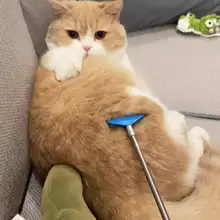 猫用マッサージスティック【伸縮式・かゆみ解消・遊び用おもちゃ】