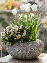 植木鉢 テラコッタ 手作り ヴィンテージ 通気性 観葉植物 多肉植物 生け花 インテリア