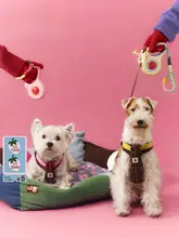 ペット用 伸縮式リード【リンゴデザイン・ハーネス付き】（セットアップ対応）