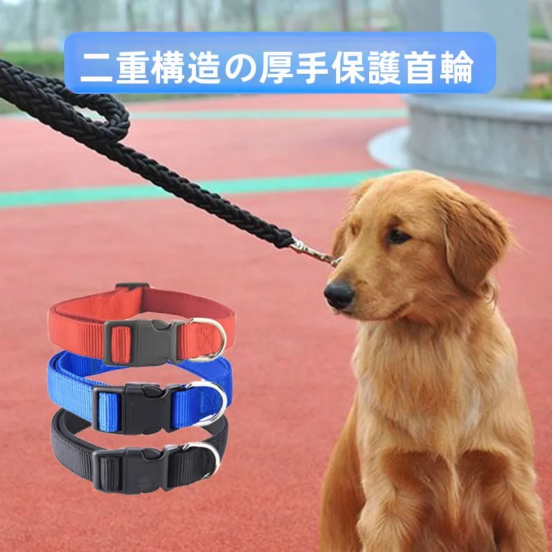犬のお散歩グッズをコスパ良く揃える方法｜サイズ別選び方とシーンごとの使い分け完全ガイド
