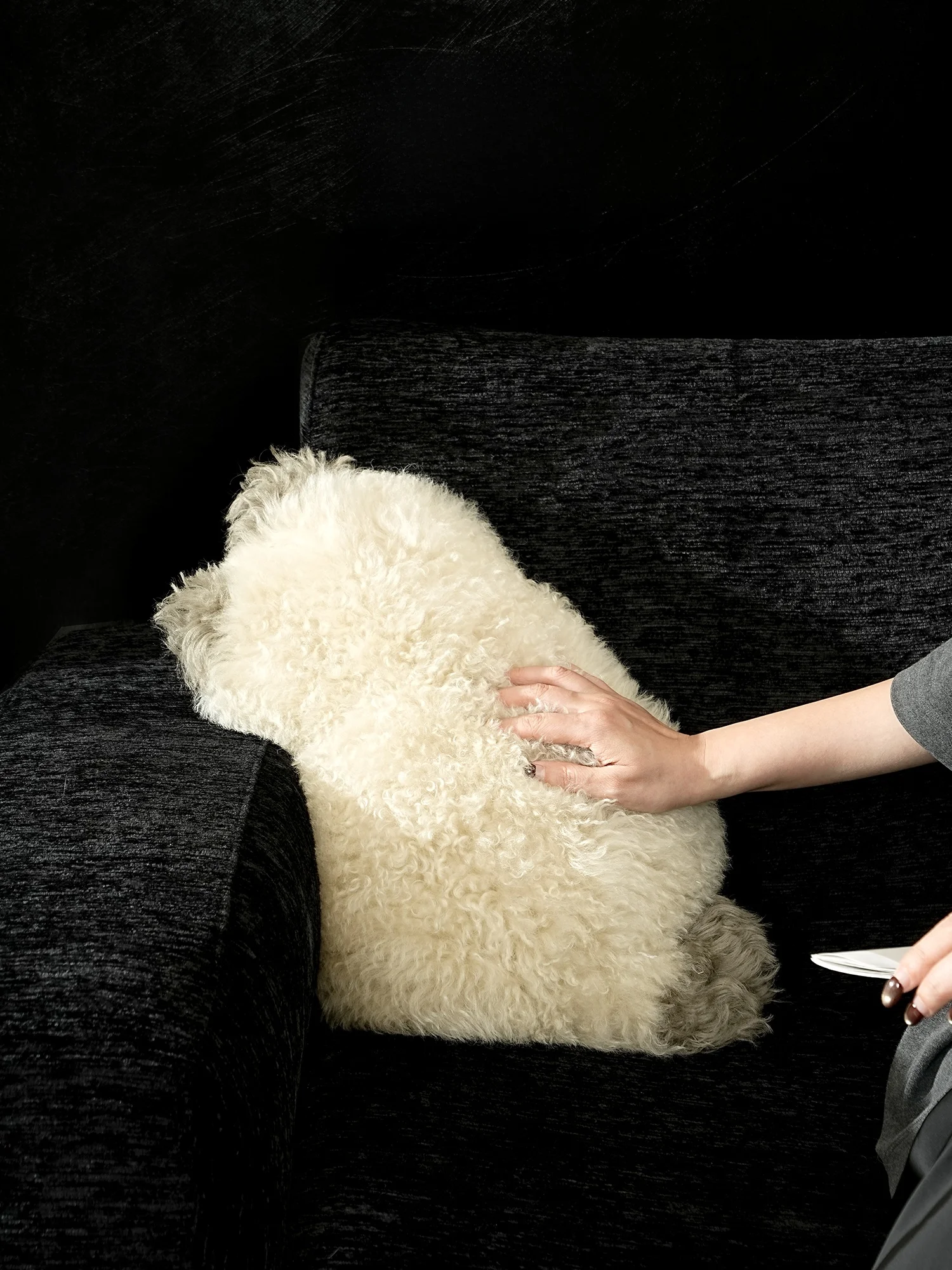ソファに猫が座るのを防ぐには？可愛い猫型クッションが意外と効果的だった理由
