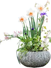 植木鉢 テラコッタ 手作り ヴィンテージ 通気性 観葉植物 多肉植物 生け花 インテリア