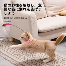 猫用おもちゃ【首にかけるフワフワ・自動動作・耐久性・羽根付き】（セットアップ対応）