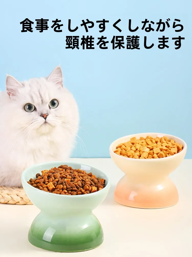 猫の餌入れが早食いを防ぐには？斜め口の陶製ボウルが解決するリアルな悩み