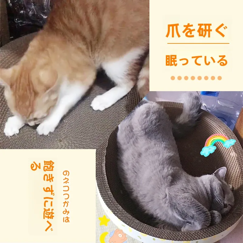 耐久性のある丸型キャットタワー一体型爪とぎの選び方と実際の使い方